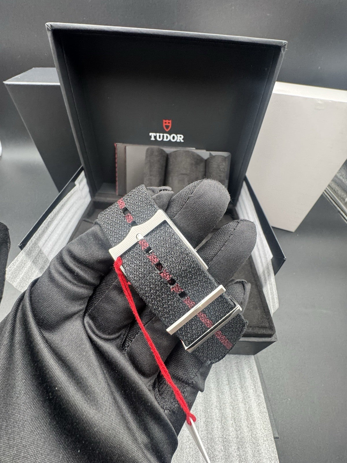 2025 TUDOR BLACK BAY GMT OPALINE DIAL FABRIC STRAP WATCH M79830RB-0012 UNWORN