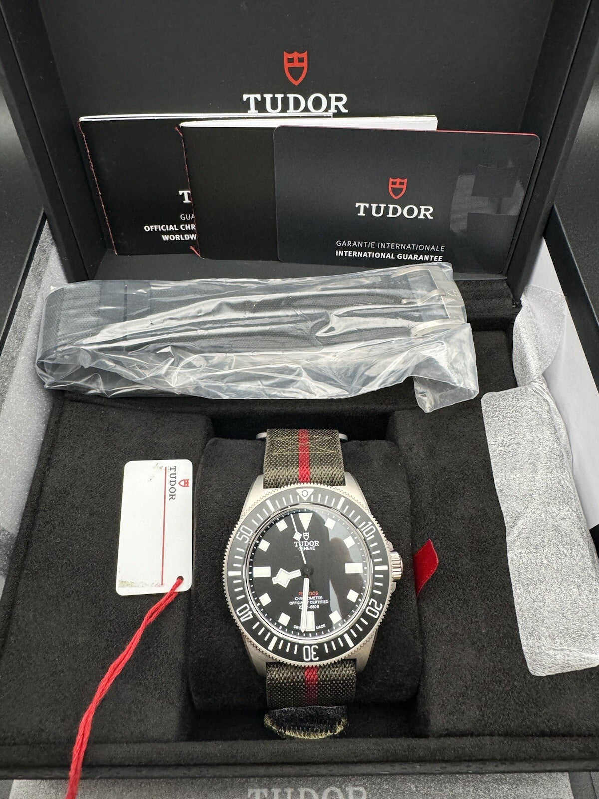 2025 Tudor Pelagos FXD Black Dial Titanium Men's Watch M25717N-0001 Unworn